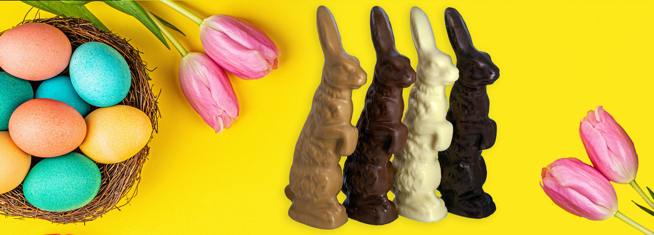 Four assorted solid chocolate bunnies by Saratoga Chocolate Co displayed with a decorative nest, colorful eggs, and tulips, all set against a bright yellow background.