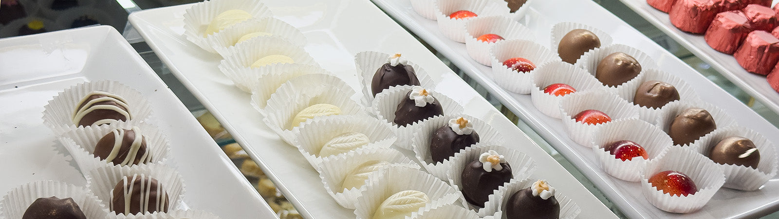 A variety of chocolate truffles on a white ceramic plates with bright light