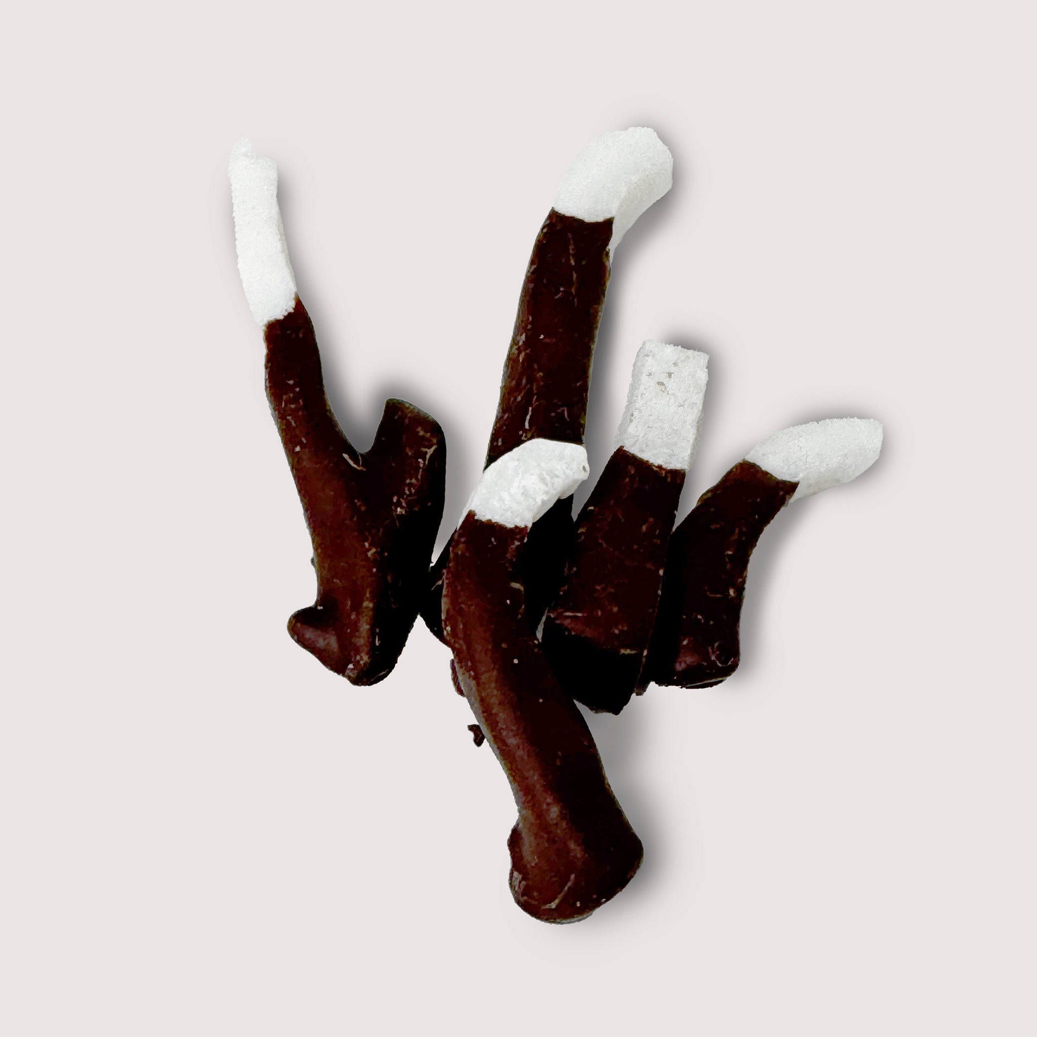 Pieces of coconut dipped in dark chocolate on a light background